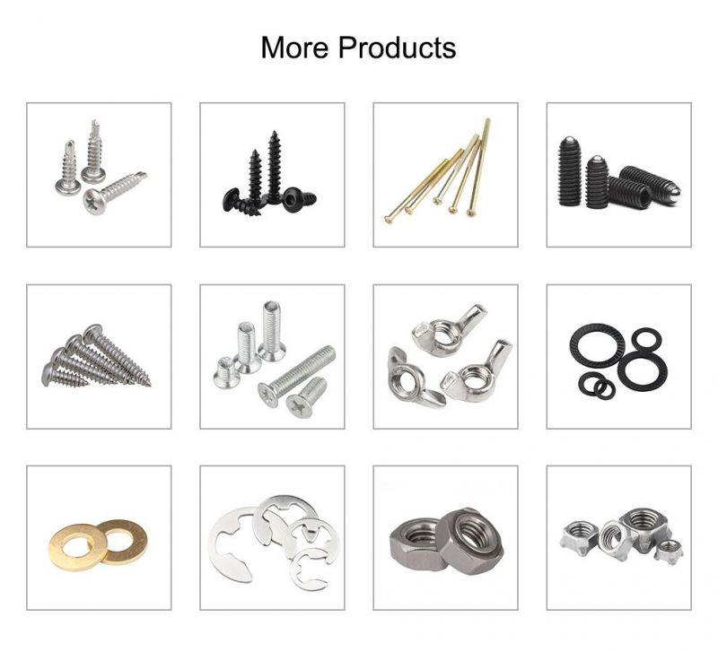 Obm/ODM/OEM Stainless Steel 304 Hexagonal Socket Head Grub Set Screw