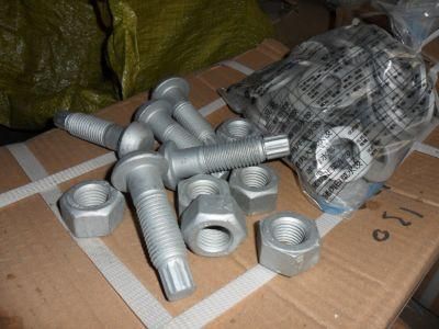 Various Standards Dacromet Hot DIP Galvanizing Tension Control Bolt