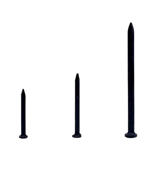 Smooth Shank Black Concrete Nail for Guangzhou Sample