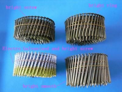 Coil Nail for Wooden Pallet of Size 2.5mm to 65mm