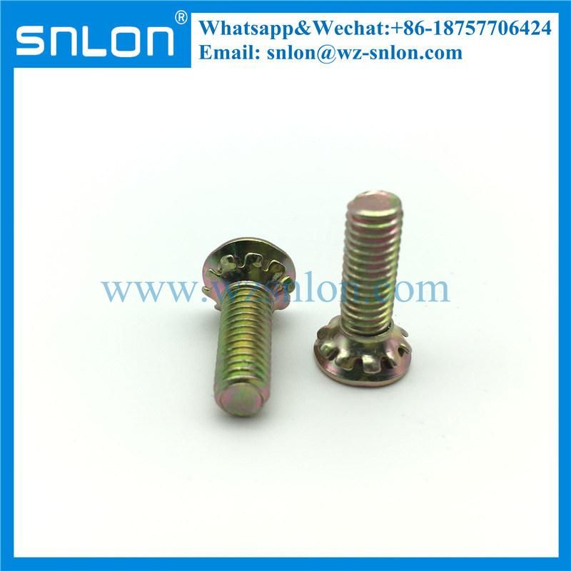 Phillip Head Screw with Serrated Washer