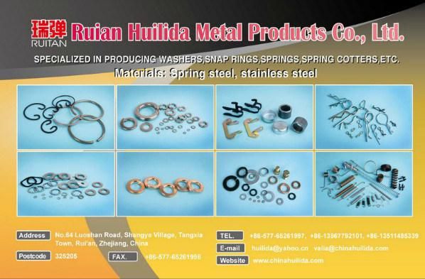 SGS Stainless Steel Retaining Ring