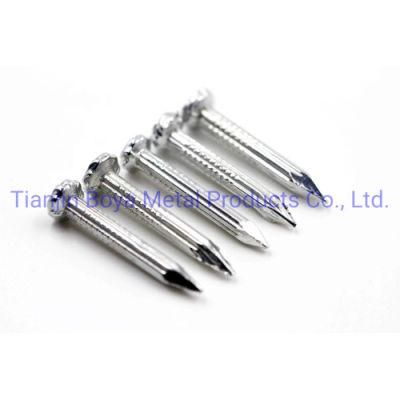 Factory Direct Common Iron Nail / Concrete Nail with Best Quality and High Quality