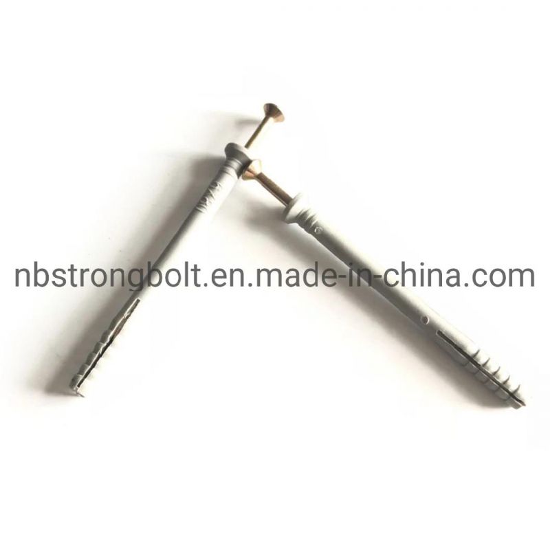 M6X80 Screw Nylon Fixing Anchor