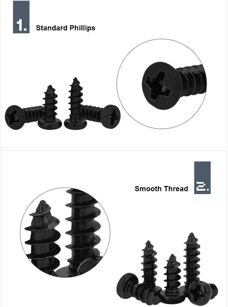 Black Screw M3X6 Ppb Self-Tapping Screws
