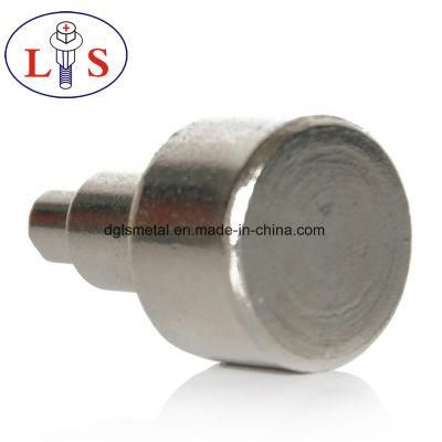 Supply Good Quality Large Amount of Non-Standard Fasteners Rivets