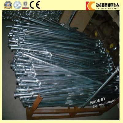 Stainless Steel Long Eye Bolt with Nut and Washer