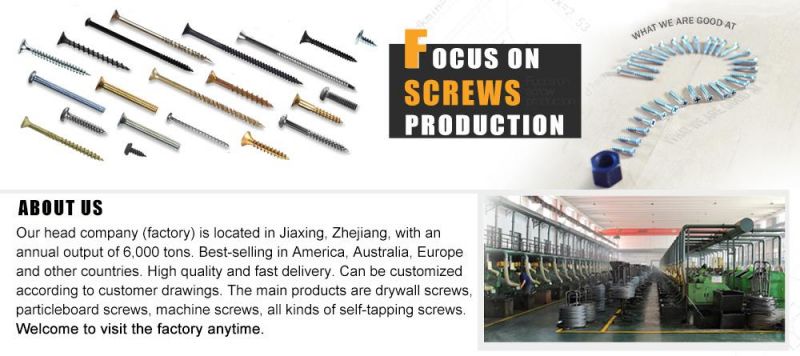 Torx Drive Wood Construction Screw Trim Head Type17 Point Terrace Screw