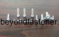 Terminal Cover Screw/Machine Screw Ss Bolts