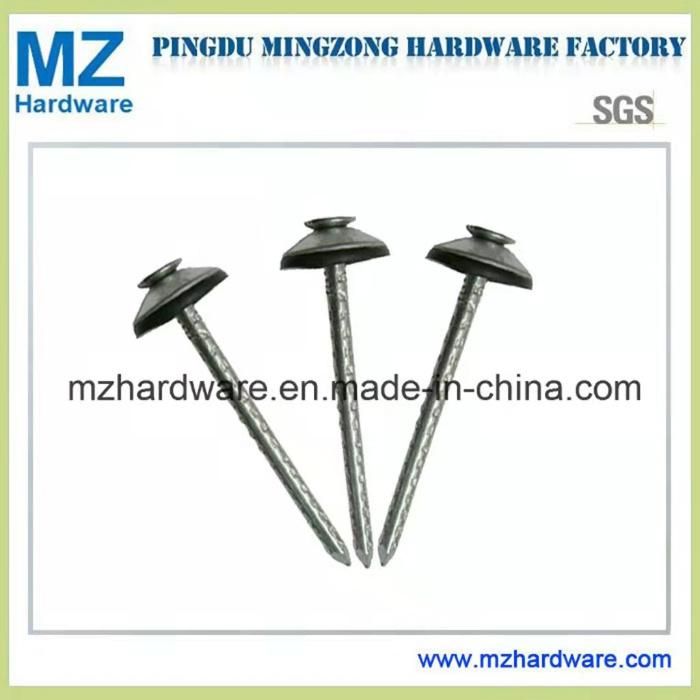 Eletro-Galvanized Nail Screw Shank Nail Roofing Nail with Factory Price