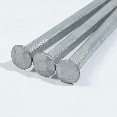 Factory Q195 1&quot;-6&quot; Hot Dipped Galvanized Square Boat Nails