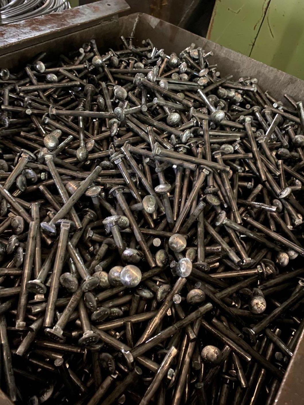 Galvanized Zinc Plated Steel DIN603 Cup Mushroom Head Square Neck Carriage Bolts M5 M6 M8 M10 M12 M14 M16 M20