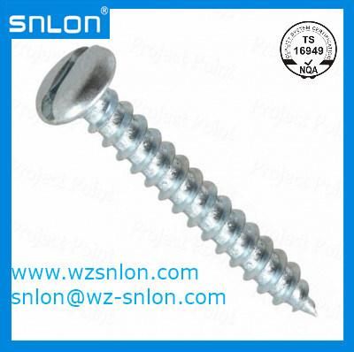 Small Round Slotted Head Wood Screws