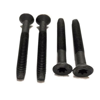Type F Torx Head Self Tapping Machine Screw
