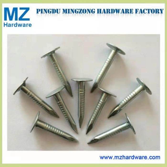 Big Head Flat Head Clout Roofing Nail Electro-Galvanized Clout Nail Roofing Nail