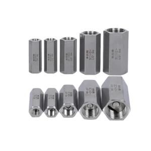 Stainless Steel 304/316 High Pressure Air Check Valve Hexagon Female Thread Non Return Valve