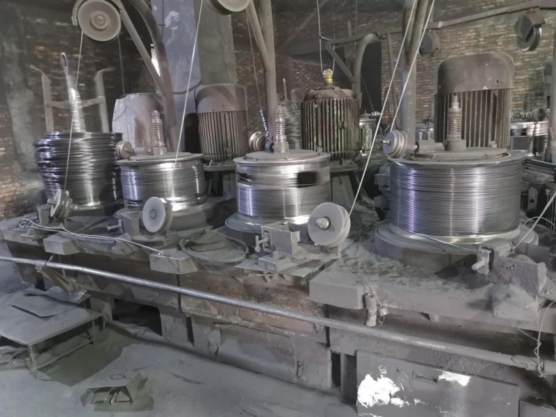 Manufacturer Wholesale High Quality Common Iron Nail