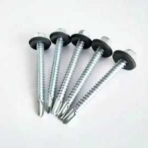 Tianjin Factory Great Quality Hex Head Self Drilling Roofing Screws Patta Screw/Stainless Steel Screw