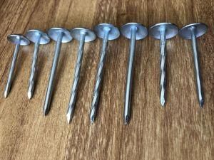 Bwg8-Bwg13 Umbrella Head Roofing Nails with Streight Shank Twisted Shank