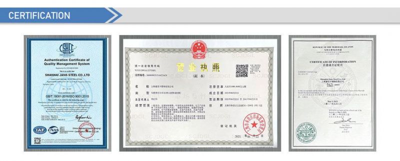 China Supplier DIN Pn100 Flanges Standard Stainless Steel Flanges