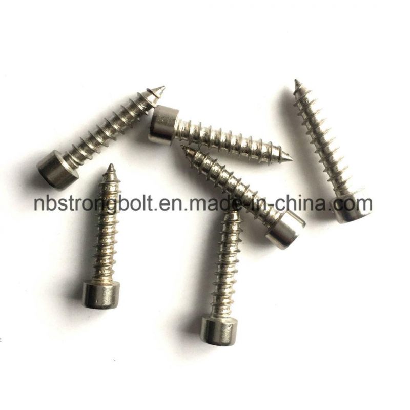 Stainless Steel Hexagon Self-Tapping Screw
