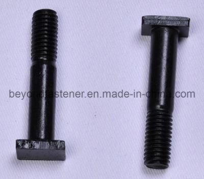 Square Screw Square Bolts, T Bolts (BSB003)