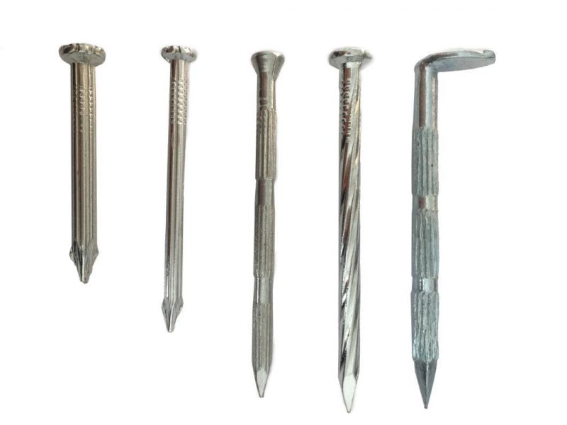 Polished Common Iron Wire Nails Production Wire Nails Manufacture in China