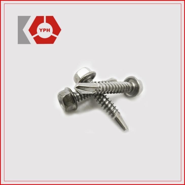 DIN7504 Drilling Tapping Screws for Industry