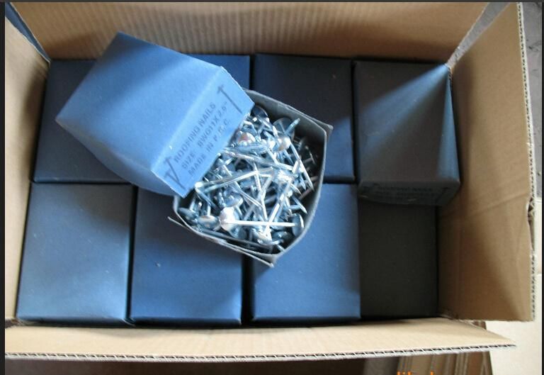 Umbrella Head Roofing Nails, Galvnaized Roofing Screw