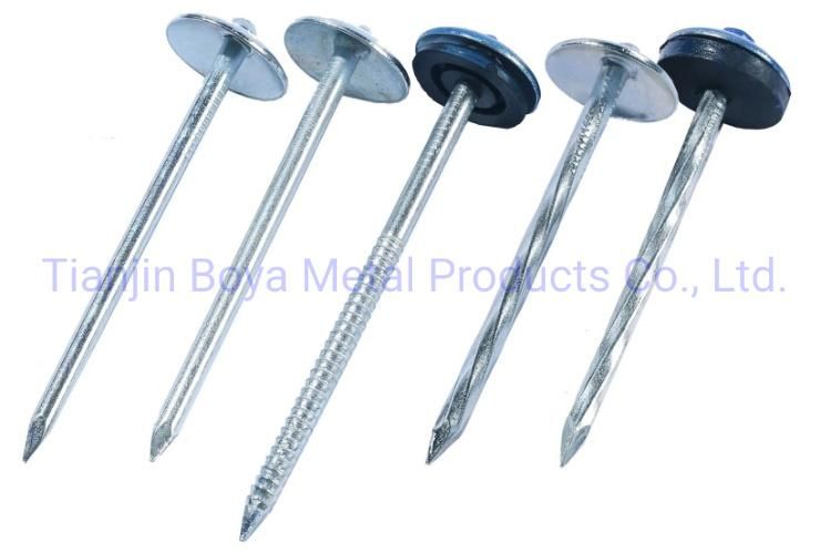 Hot Sale Q195 Carbon Steel Umbrella Head Roofing Nails
