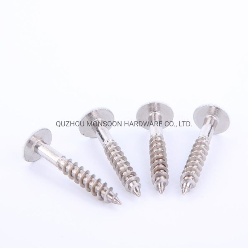 Stainless Steel Mushroom Torx Head Screws with Painted Head