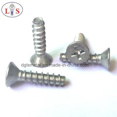 Countersunk Head Screw with B Type Thread