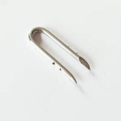 China Factory Supply U Type Fence Staple with Best Price