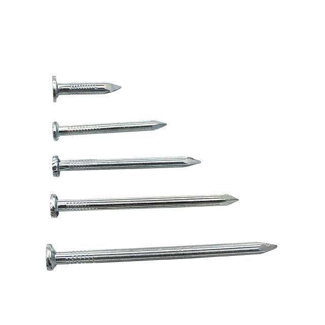 Gi Steel Concrete Nail Steel Nail White Nail in Guangzhou