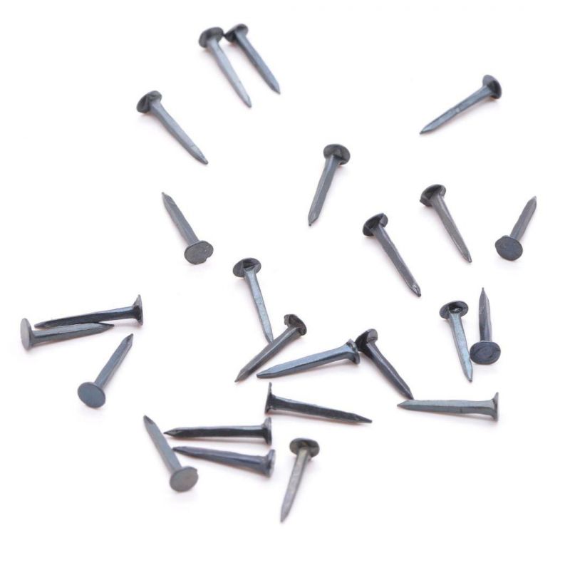 Fine Blue Shoe Tacks Nails Horse Tack Nails Iron Smooth ISO