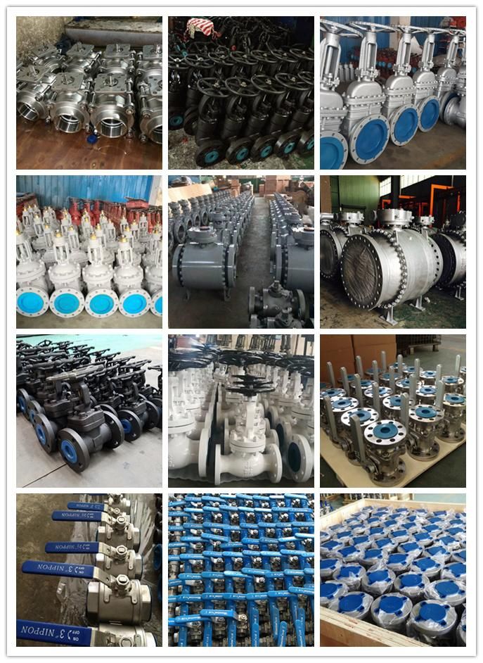 ANSI/DIN/GB SS304 SS316 Stainless Steel Forged Flange