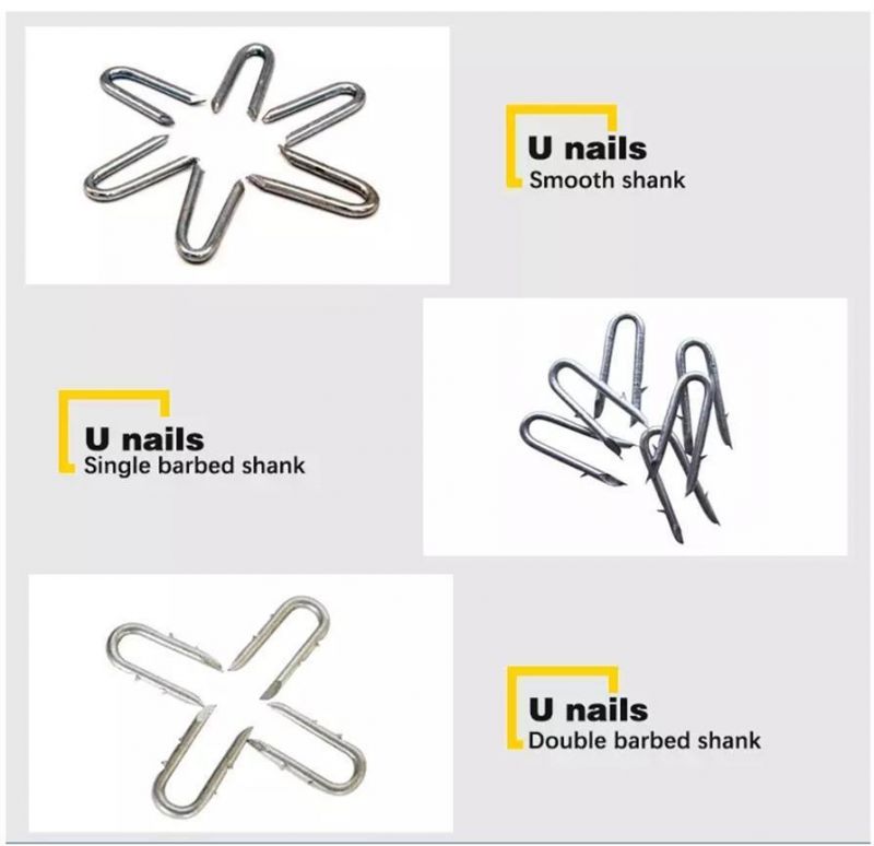 U-Shaped Nail Staples Pins