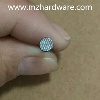 Polished Panel Pins Common Wire Nails