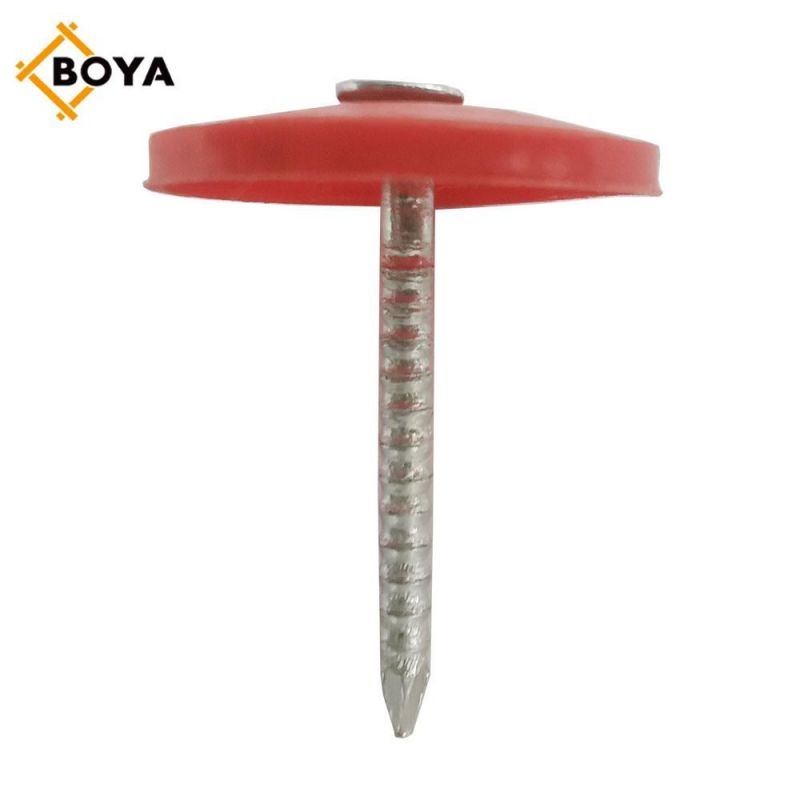 Factory Manufactured Smooth Shank Plastic Hat Galvanized Roofing Nail