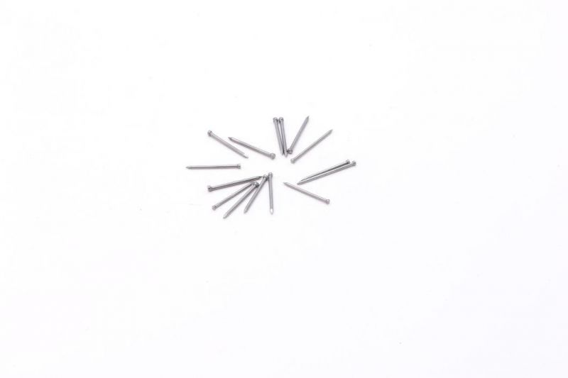 China Manufacture Finishing Iron Wire Nails Common Building Construction Nails