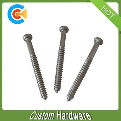Stainless Steel Small Screws Precision Self Tapping Screws for Glasses
