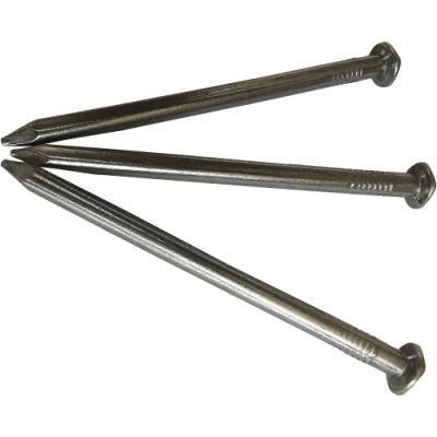 Hot Sale Polished Common Nail for Construction