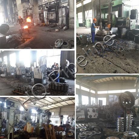 Forged Carbon Steel Stainless Steel Flanges