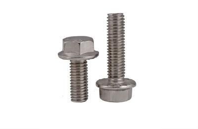 Hexagon Flange Bolt Screw Stainless Steel and Titanium