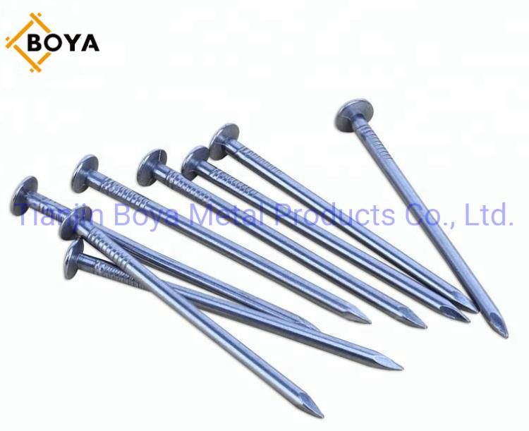 Best Quality Common Nails/Galvanized Nail/Building Nail/Hardware Iron Nail