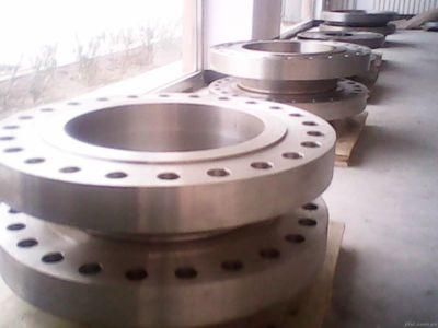 ASTM A182 Stainless Steel Forged Flange