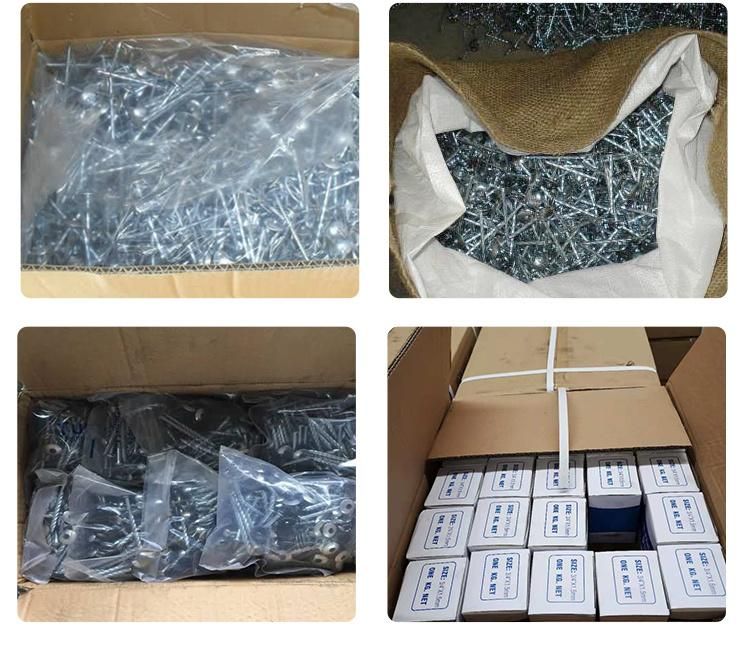Wholesales Electro Galvanized Roofing Nails