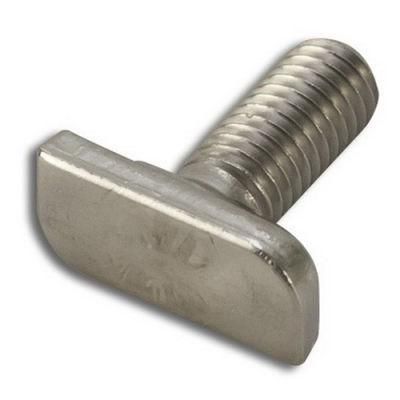 DIN261 Stainless Steel T Bolt