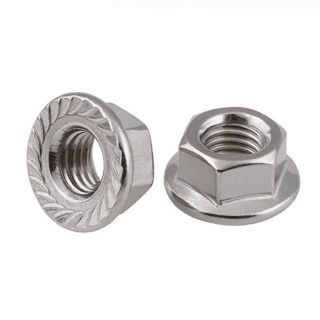 DIN6923 Ss201 SS304 SS316 M6 M7 M8 M10 Large Hex Flange Nut with Serrated