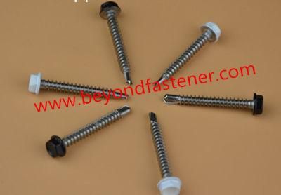 Self-Drilling Screws/Instrument Screws/Machine Screws/Terminal Cover Screws/Core Board Screws/Custom Screw